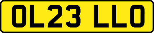 OL23LLO