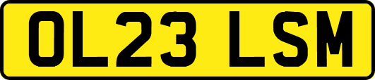 OL23LSM