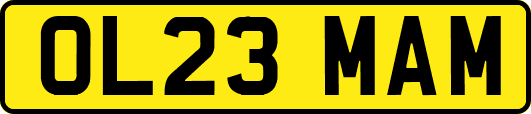 OL23MAM