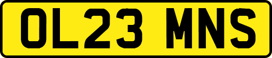 OL23MNS