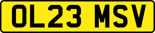 OL23MSV