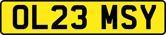 OL23MSY
