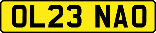 OL23NAO