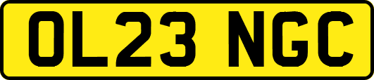 OL23NGC