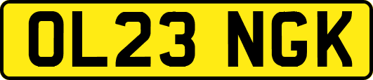 OL23NGK