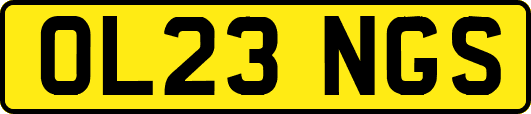 OL23NGS