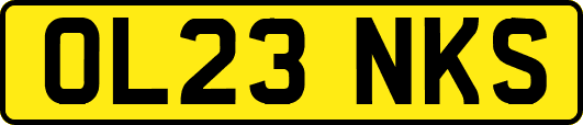 OL23NKS