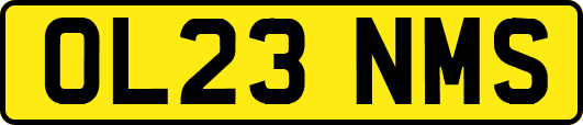 OL23NMS