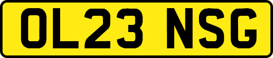 OL23NSG