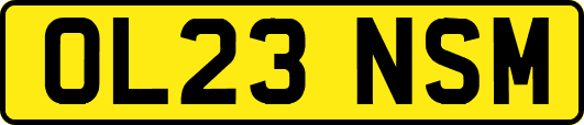 OL23NSM