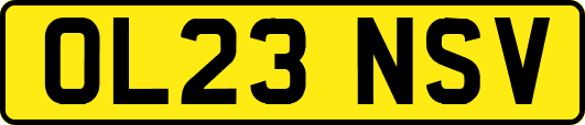 OL23NSV