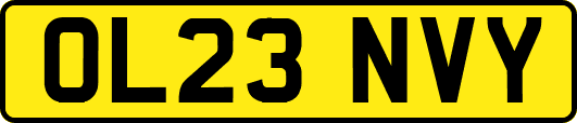 OL23NVY