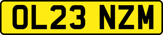 OL23NZM