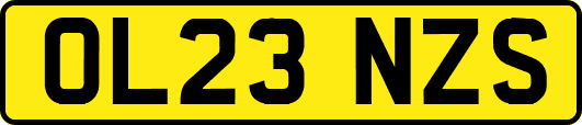 OL23NZS