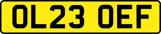 OL23OEF