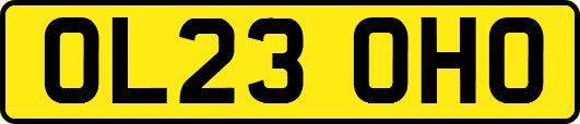 OL23OHO