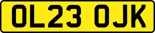 OL23OJK