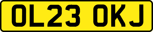 OL23OKJ