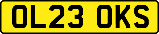 OL23OKS