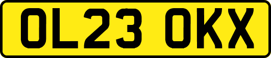 OL23OKX