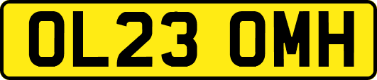 OL23OMH