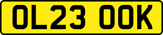 OL23OOK