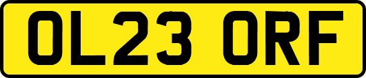 OL23ORF