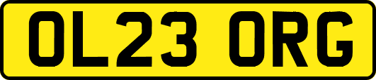 OL23ORG