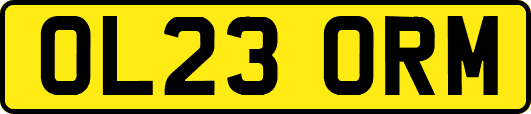 OL23ORM