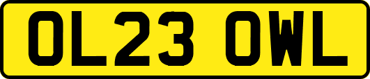 OL23OWL