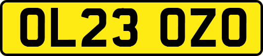 OL23OZO