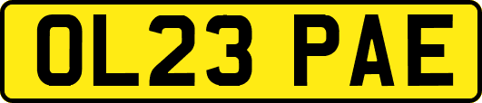 OL23PAE