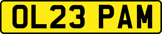 OL23PAM