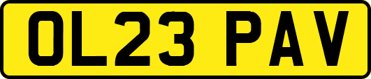 OL23PAV