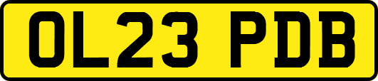 OL23PDB
