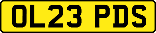 OL23PDS