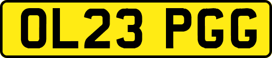 OL23PGG
