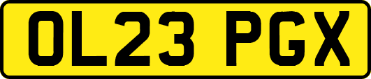 OL23PGX