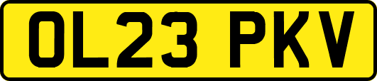 OL23PKV