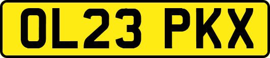 OL23PKX