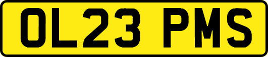 OL23PMS