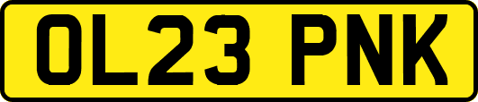 OL23PNK
