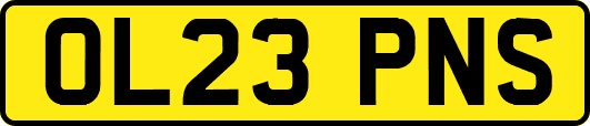 OL23PNS