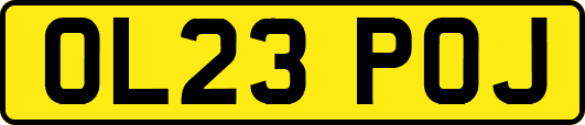 OL23POJ