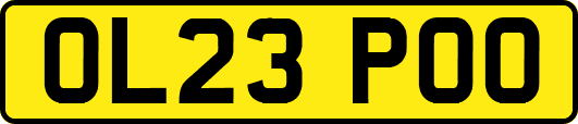 OL23POO