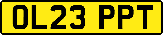 OL23PPT
