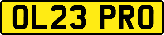 OL23PRO