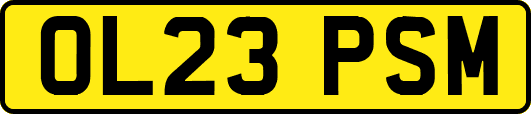 OL23PSM
