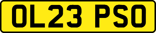 OL23PSO