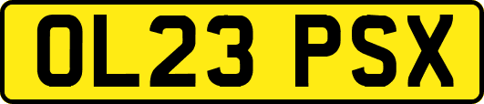 OL23PSX